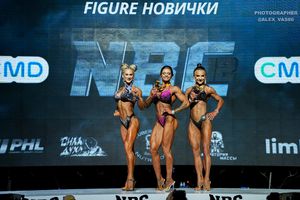 FIGURE НОВИЧКИ